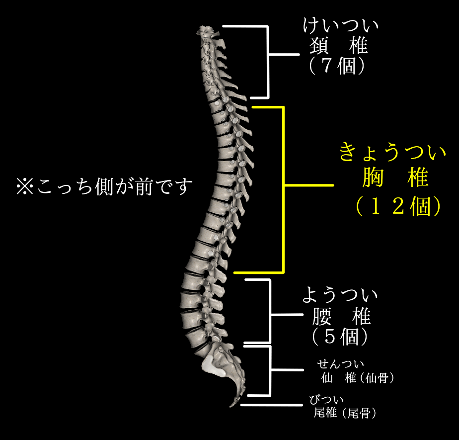 沼田　パーソナルジム
