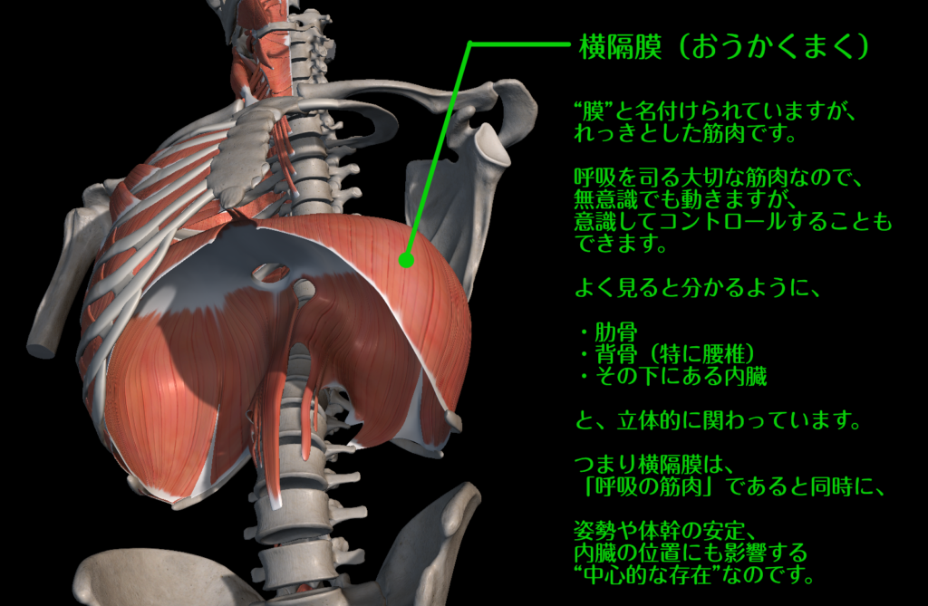 RESTA　沼田　ジム