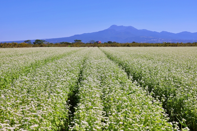 RESTA　沼田　パーソナルジム