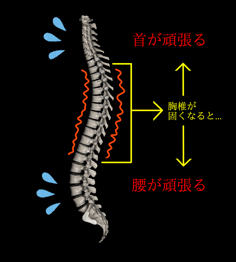沼田　パーソナルジム