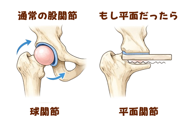 沼田　ジム　パーソナル