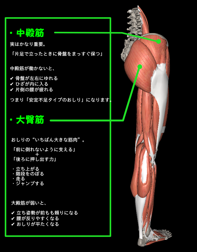 沼田　ジム　パーソナル